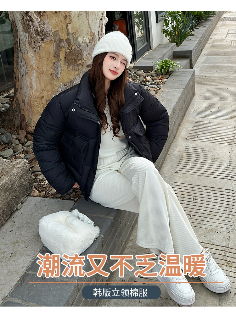 1_04.jpg