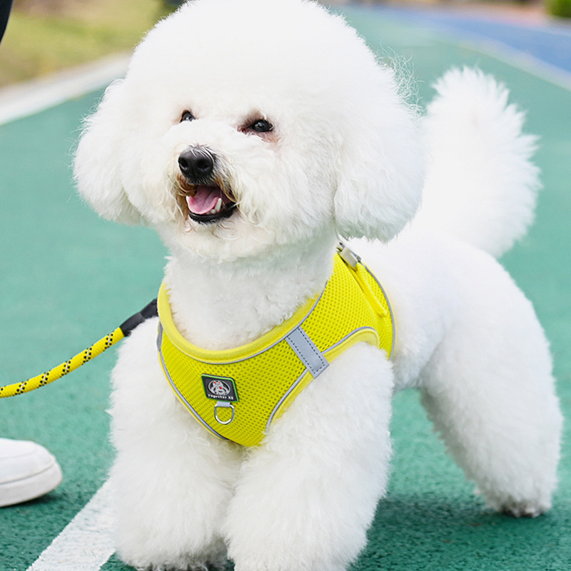 ベスト型犬用リード 小型犬 ビション テディ ポメラニアン 子犬 子犬 ハーネス 犬用リード 犬用チェーン|undefined