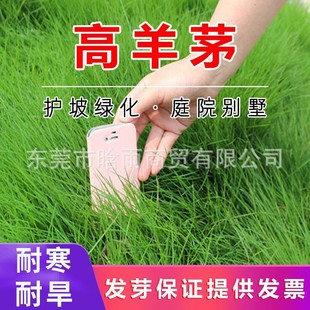 �S�����l����é��ƺ�N���ļ������o�¹����ͺ��ͺ�ͥԺ����