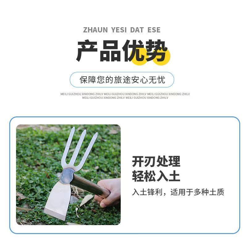 微信图片_202503301441353.jpg