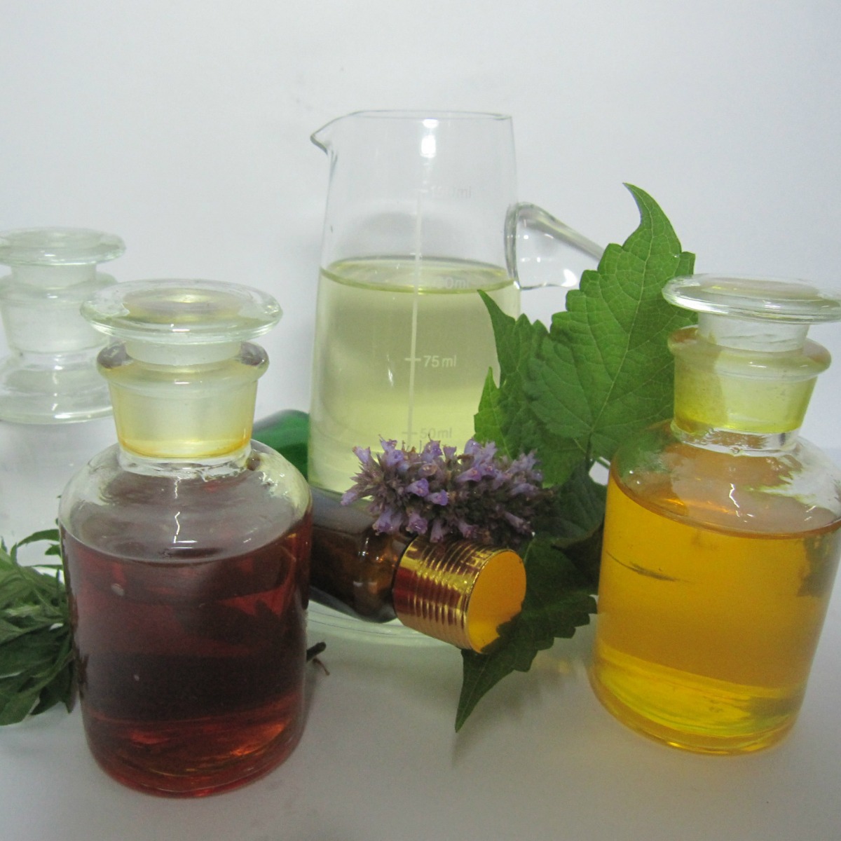 ��������  ������ ������� ��ӭѡ��