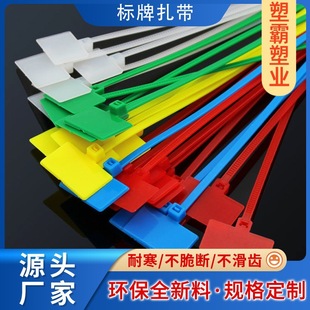 Nylon Cable Tie Label Tag Cable Tie 3*100 Network Cable Waterproof Bundling Strap Tag Marking Plate Label Cable Tie