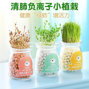 ˮ������diy����ؓ�x�ӾGֲ�k��������С�辰��ݗ������Сֲ��