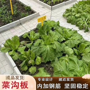 Finished Vegetable Groove Board, Garden Groove Board, Courtyard Groove Board, Cement Groove Board, Vegetable Groove Board