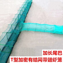 �����~�\�r�\����~�W�����g���~�нY���r�W���r�W���q�S�X�\