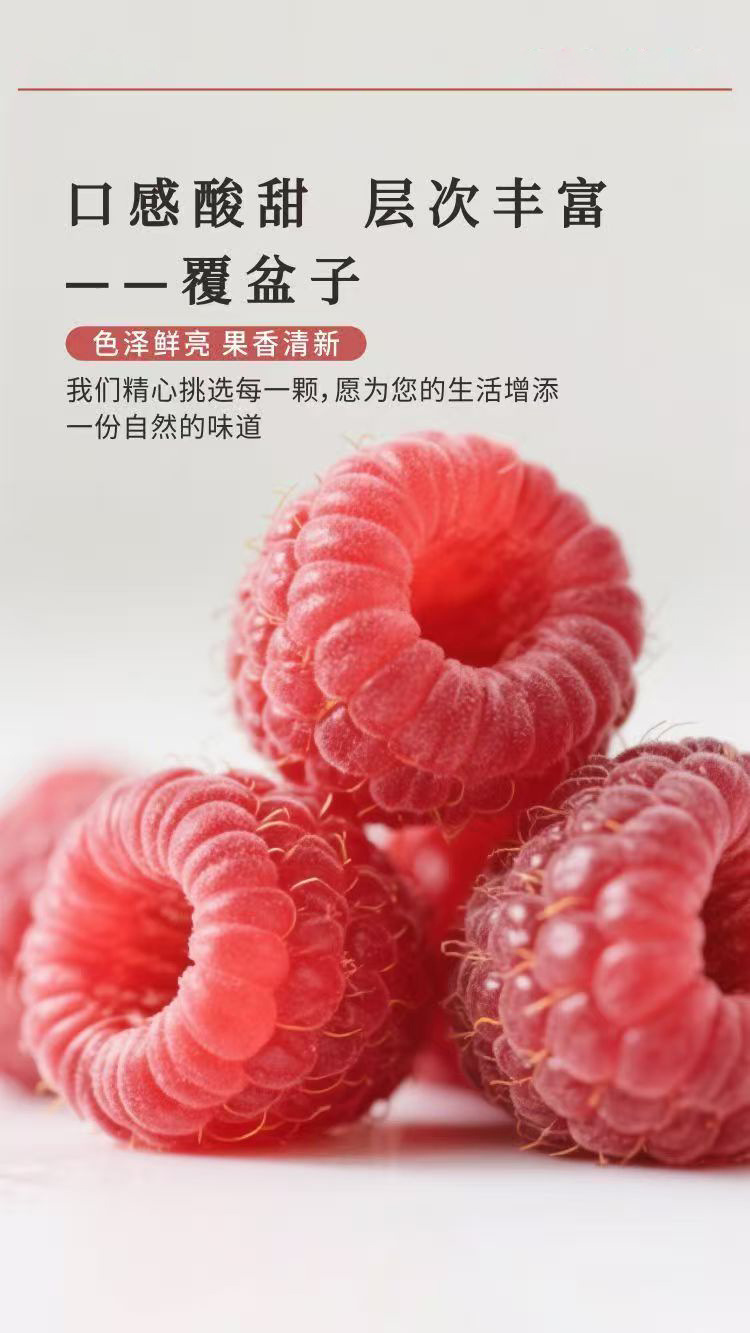 Raspberry Paste (Rubus idaeus) — Traditional Herbal Fruit Paste, 300g Jar quality and texture