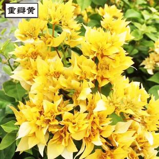 ���ݶ�ɫ����÷�����ذ��ļ��_���������ͺ����ٻ���һ���t����