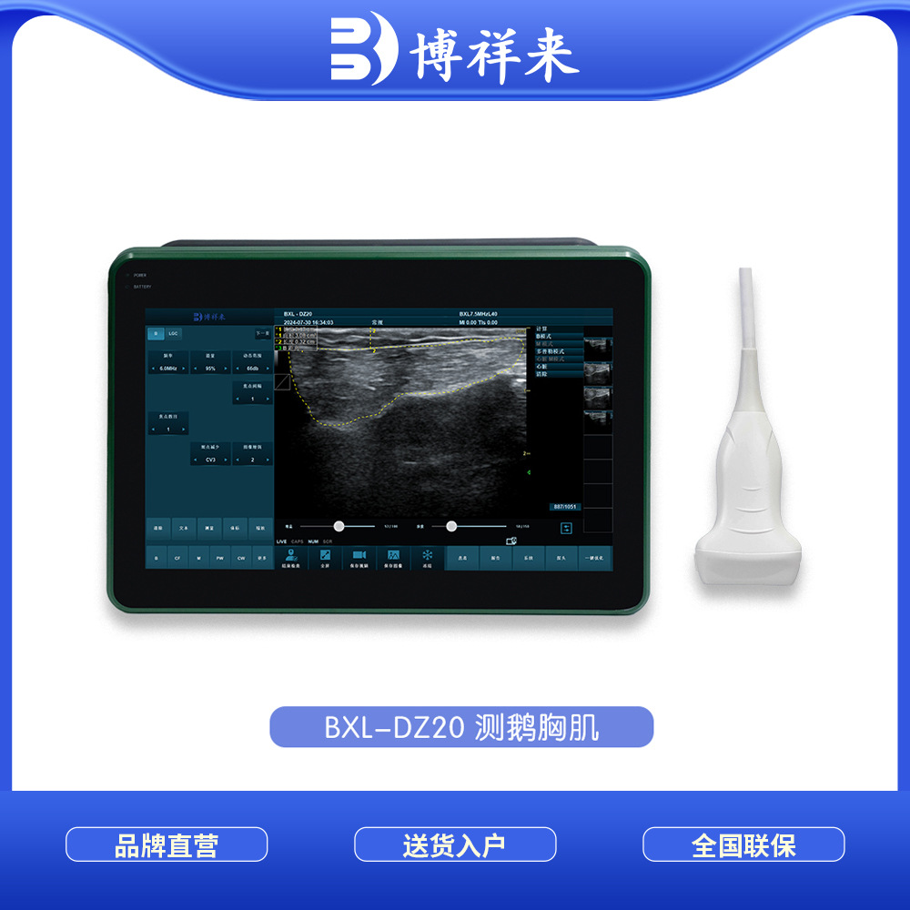 鸡胸肉测定B超机 鸡鸭鹅禽类检测B超机 博祥来鸭胸肉检测仪