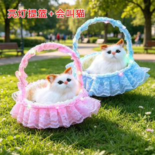 �����ٽz��@+�l؈����@�l�����ë�q��ż��ͯ�������