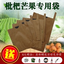 枇杷套袋袋梨袋桃袋芒果柑橘脐橙柚子套袋苹果水果套袋枇杷袋