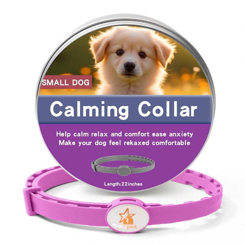 맞춤형 강아지 상자 보라색 56CM