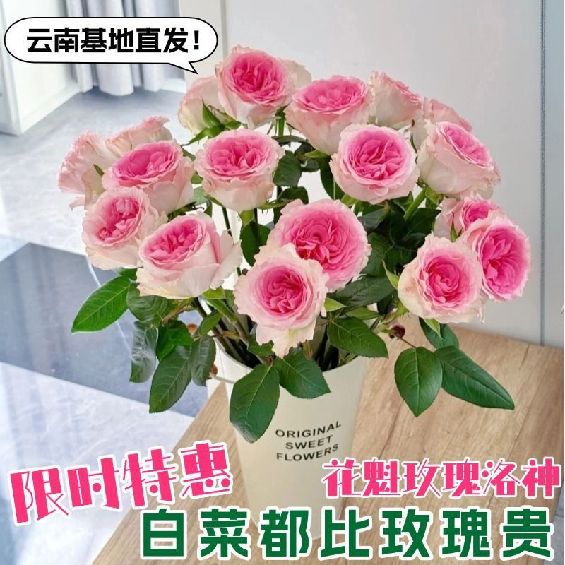 40枝洛神玫瑰花花魁花束云南基地直发批发单头玫瑰基地鲜花速递