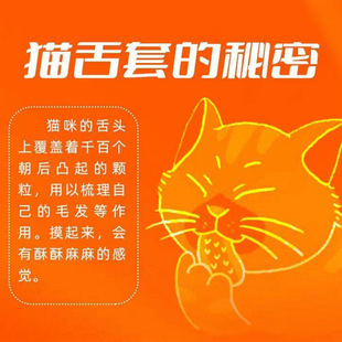 �昷��؈�����2ֻ