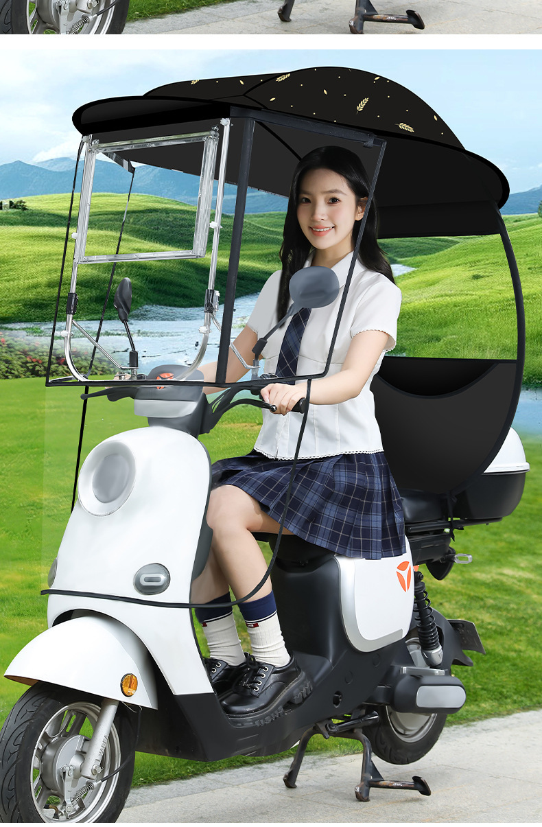 Electric Vehicle Canopy, Enclosed Car Cover, Windproof, Rainproof, Sun Protection, Cartoon Double-Sided Printed Design, Universal Sunshade for Electric Bikes