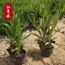 ���ݻ������l�����^�޸��������Լ����^������^֥�黨�����^�F؛