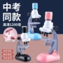 专业中学生中考儿童玩具