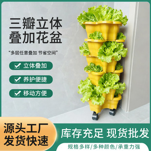 �̨�N�������w���ӯB���߲˘�֬�Nֲ��������