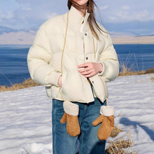 2025�����¿�����q��ɫ��������I�̿�ŮD404ZM100YY0