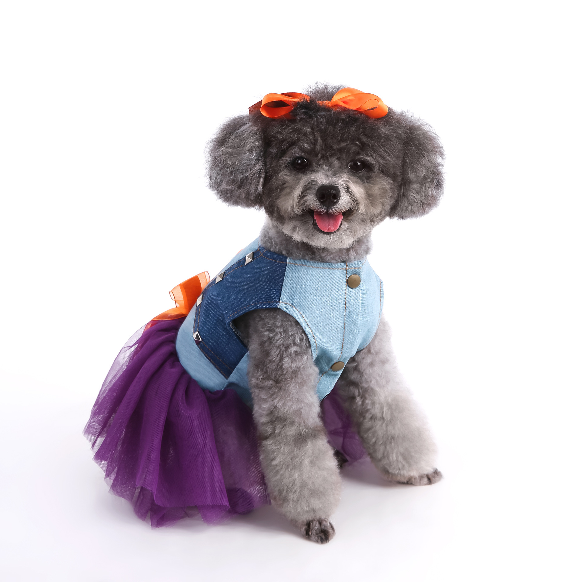 Otoño y invierno Halloween ropa de mascotas ropa de perro ropa de gato ropa de ropa casual ropa de calabaza curiosa image 3