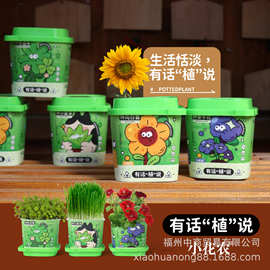 小花农桌面盆栽迷你植物花盆小学生摆件创意礼品趣味办公桌绿植