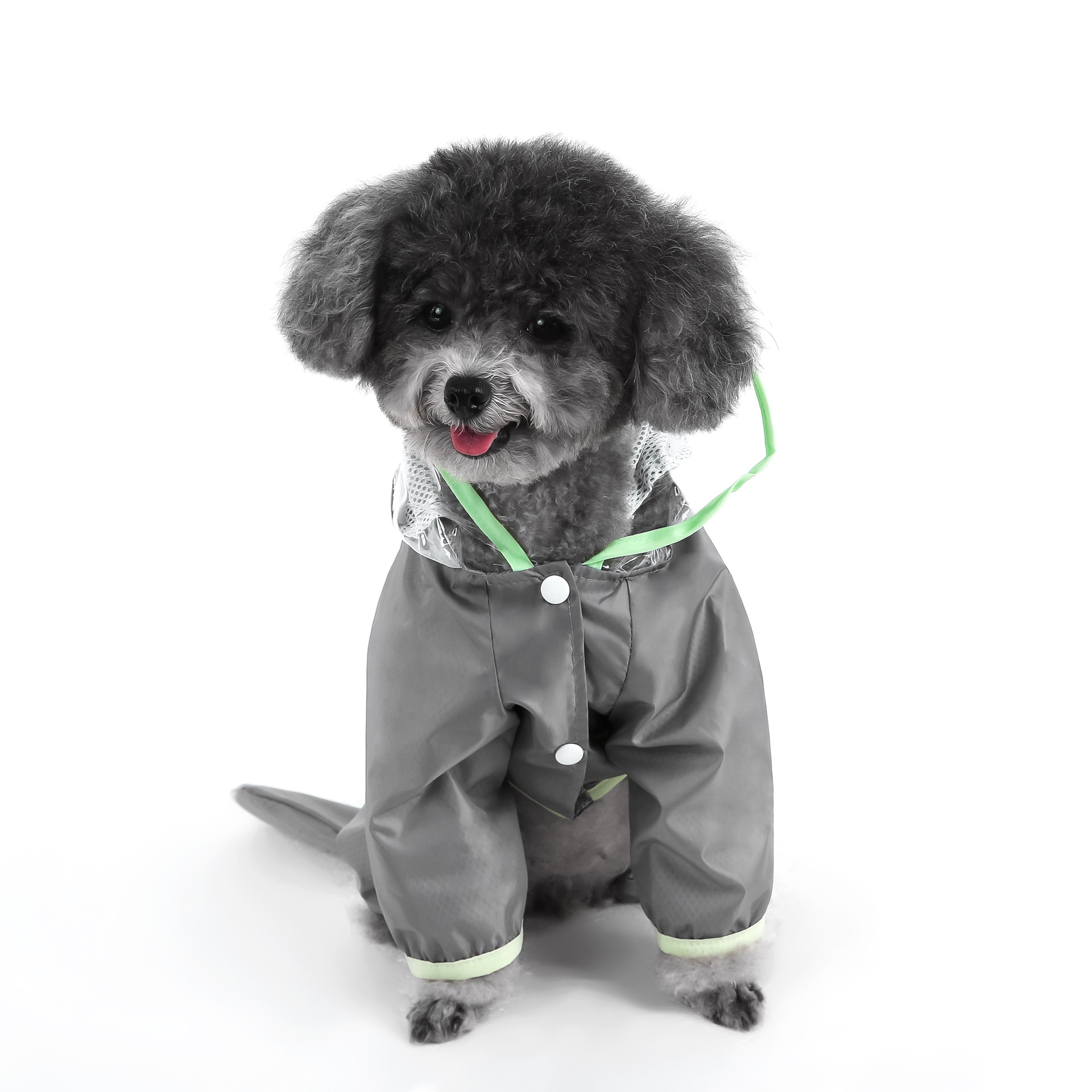 Дождевик для собак Универсальный PET-DMY19B