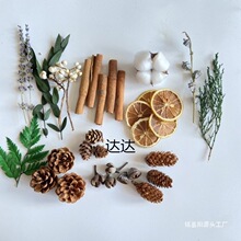 �ɹ���޹�U�㱭�����ɹ��ɻ��}�Q�b�DIY�Ĕz������Ȼ�ֹ��M��