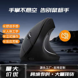 无线蓝牙三模垂直鼠标 人体工学护腕防鼠标手 办公静音可充电爆款