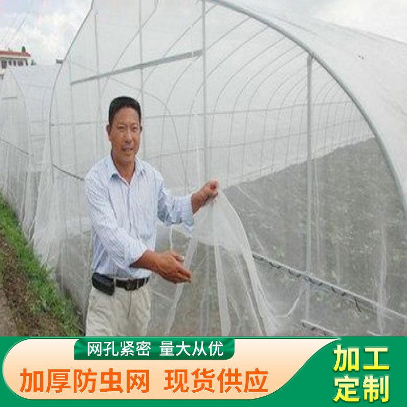 农用蔬菜大棚防虫网猪舍防蚊蝇网罩40目60目可防猪瘟病加厚防虫网