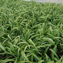 ����� �ر�ֲ�� �r��� ����ͥԺ���^�Gֲ�ͺ�ܛ�~Ӳ�~�����