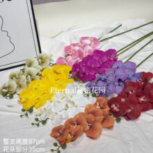 3D7头软胶蝴蝶兰 胶片pu保湿手感高档装饰兰花家居装饰婚庆仿真花