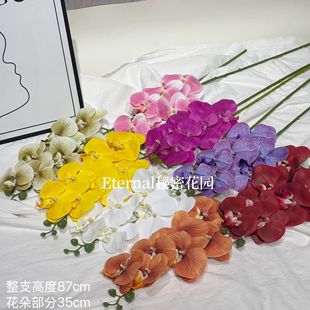 3D7�^ܛ�z�����m �zƬpu�����ָиߙn�b��m���Ҿ��b�c���滨