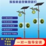 造型道路太阳能定制路灯