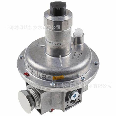 冬斯（DUNGS)安全放散阀FRSBV 1010燃气阀