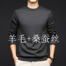 新款秋季桑蚕丝+绵半高领男士长袖毛衣男青年针织衫打底男装