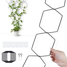 ���� ����ֲ�����ټ�  ������҃�ֲ����Ӽ� ���������FȦ����