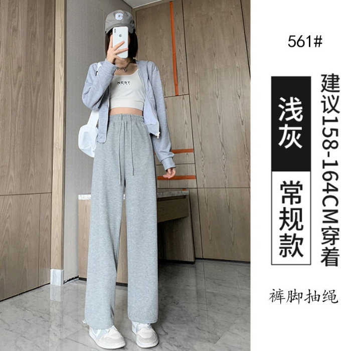 라이트 그레이 561