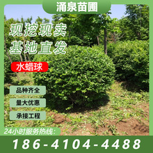 ���Թ������~ˮϞ���~ˮϞƷ�|�Rȫ�G�hˮϞ��ˮϞ��ˮϞС��F؛