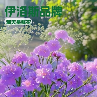 ��������M�����r�����l����˹�r��Ů�񹝶Y�ﻨ�����l�����ɻ�