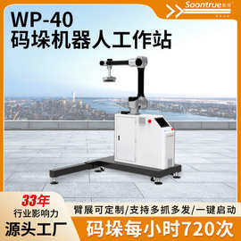 可升降工业机械手WP-40码垛机机器人工作站纸箱搬运堆垛设备定制
