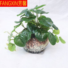 insGֲRֲ҃ٻ滨XݼҾb~insL