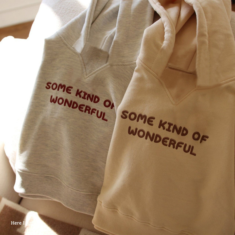 Conjunto de dos piezas para niños y niñas, suéter de felpa con capucha y letras, informal, de otoño e invierno, nuevo_voghion.com