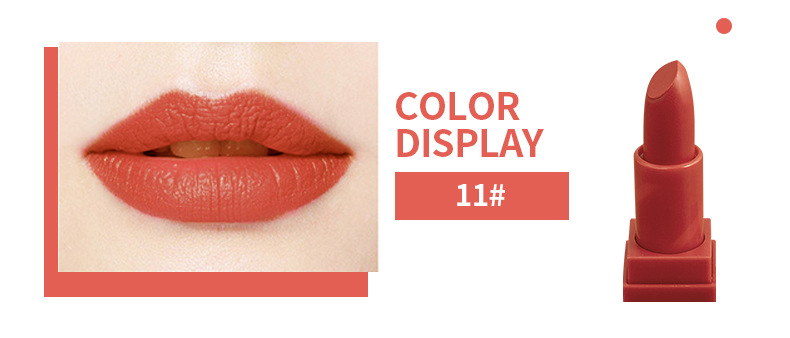 11 # (수출 판매 전용 제품, 국내 판매 금지, 구매는 기본 회사 면책 조항과 동일)