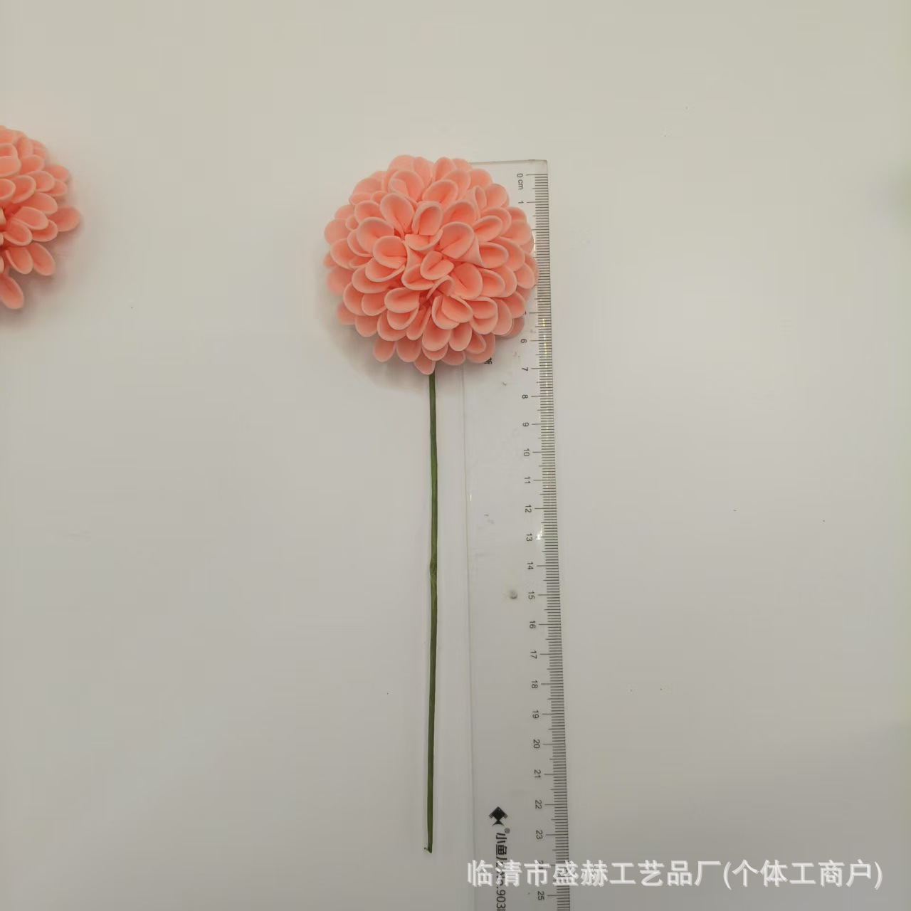 微信图片_20250528114721_111