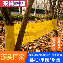 �羳���Q����ճ�x�z�����@��ľ�����T�x���Ӻ���˺���N��Ч��x��