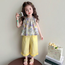 ŮСͯ�ļ��黨���������b2026�¿ͯ���ѝ�r�փɼ��׌������b