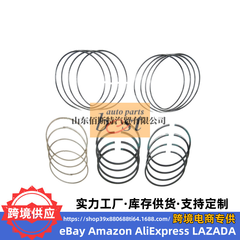 23040-02950 Is Suitable for Hyundai Kia Piston Ring 23040 02950 2304002950