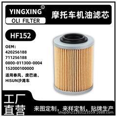 HF152 420256188 711256188 0800-011300 摩托车机油滤芯 滤清器
