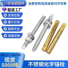 厂家化学锚栓不锈钢化学螺丝栓304不锈钢膨胀螺丝栓倒锥定型