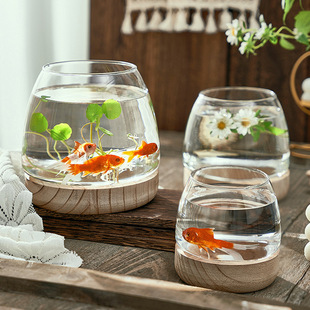 Japanese-style vase transparent glass living room flower arrangement ornaments water culture Green rose copper money grass utensils desktop ecological fish tank