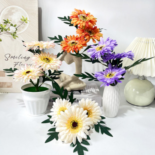 ���R�d�¿�3��̫ꖾՆ�֧�Ҿ�����@ˇDIY���滨�̨ͥԺ�bٻ�
